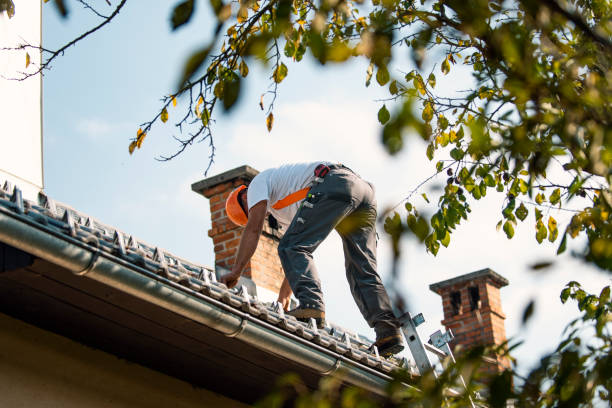 Best Storm Damage Roof Repair  in Osceola, IN